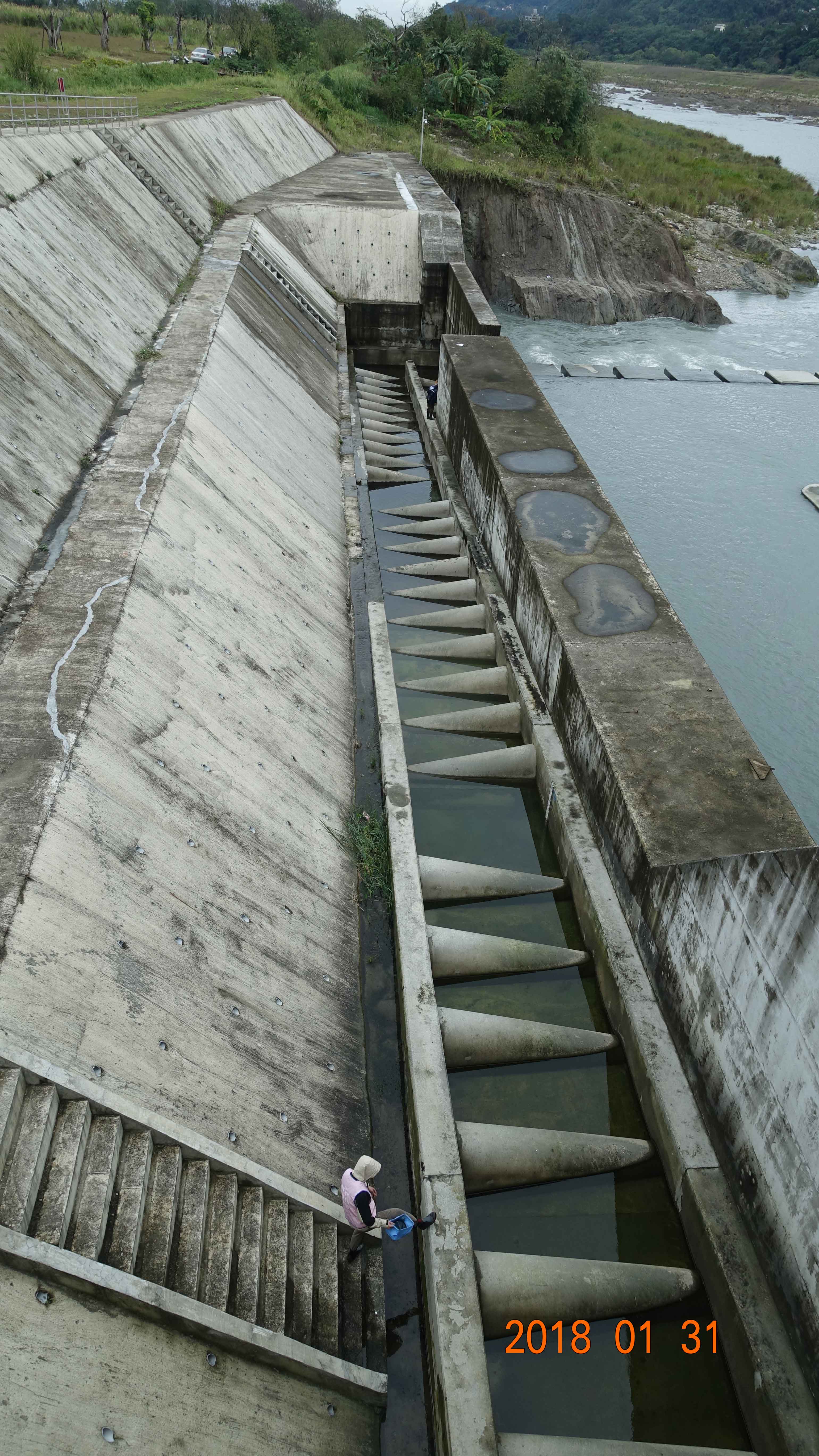 大漢溪中庄堰新設的半錐形水池採二維水理設計的魚梯