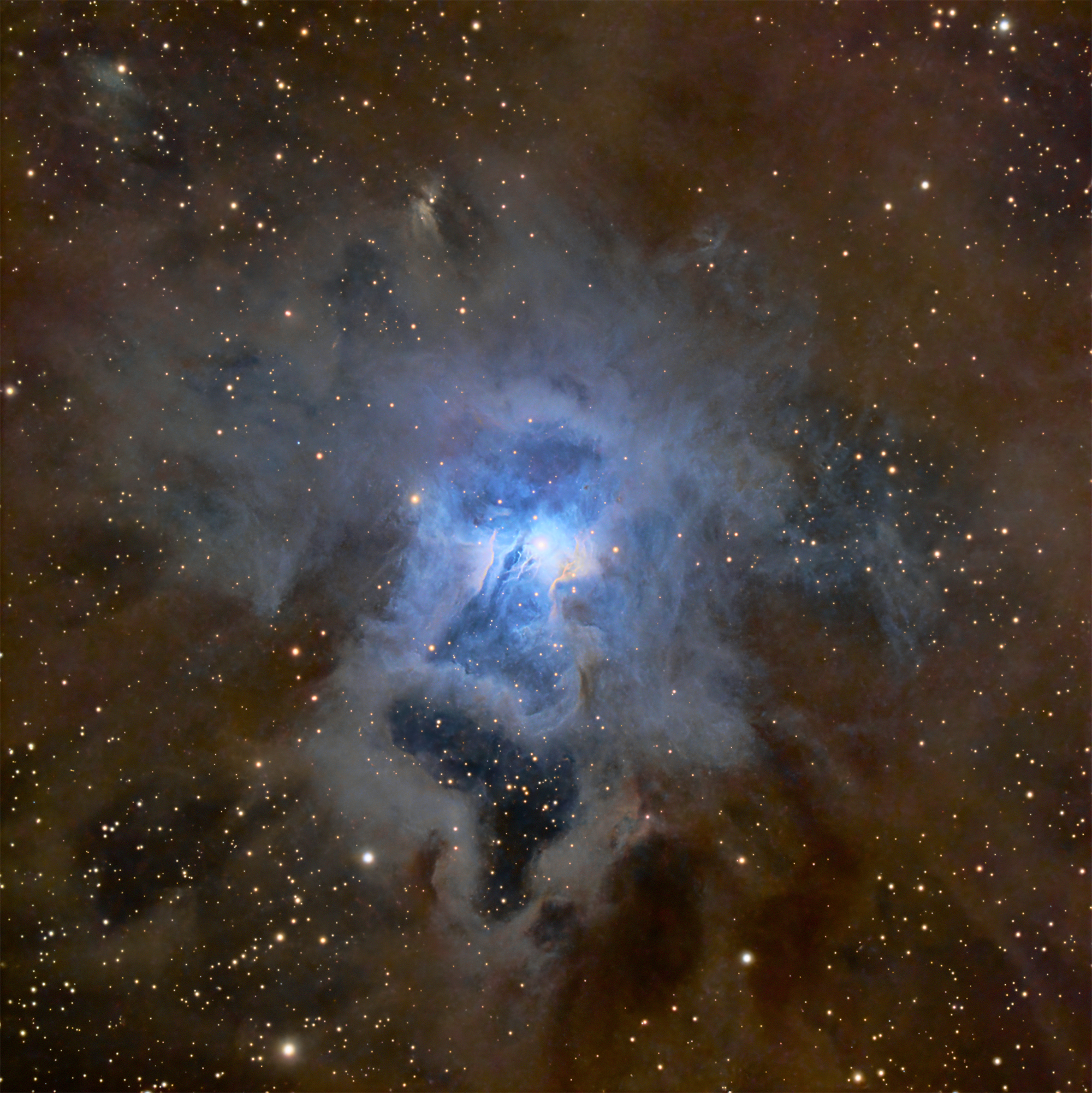 NGC 7023鳶尾花星雲