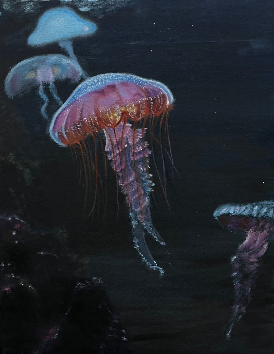 Phantoms of the Ocean