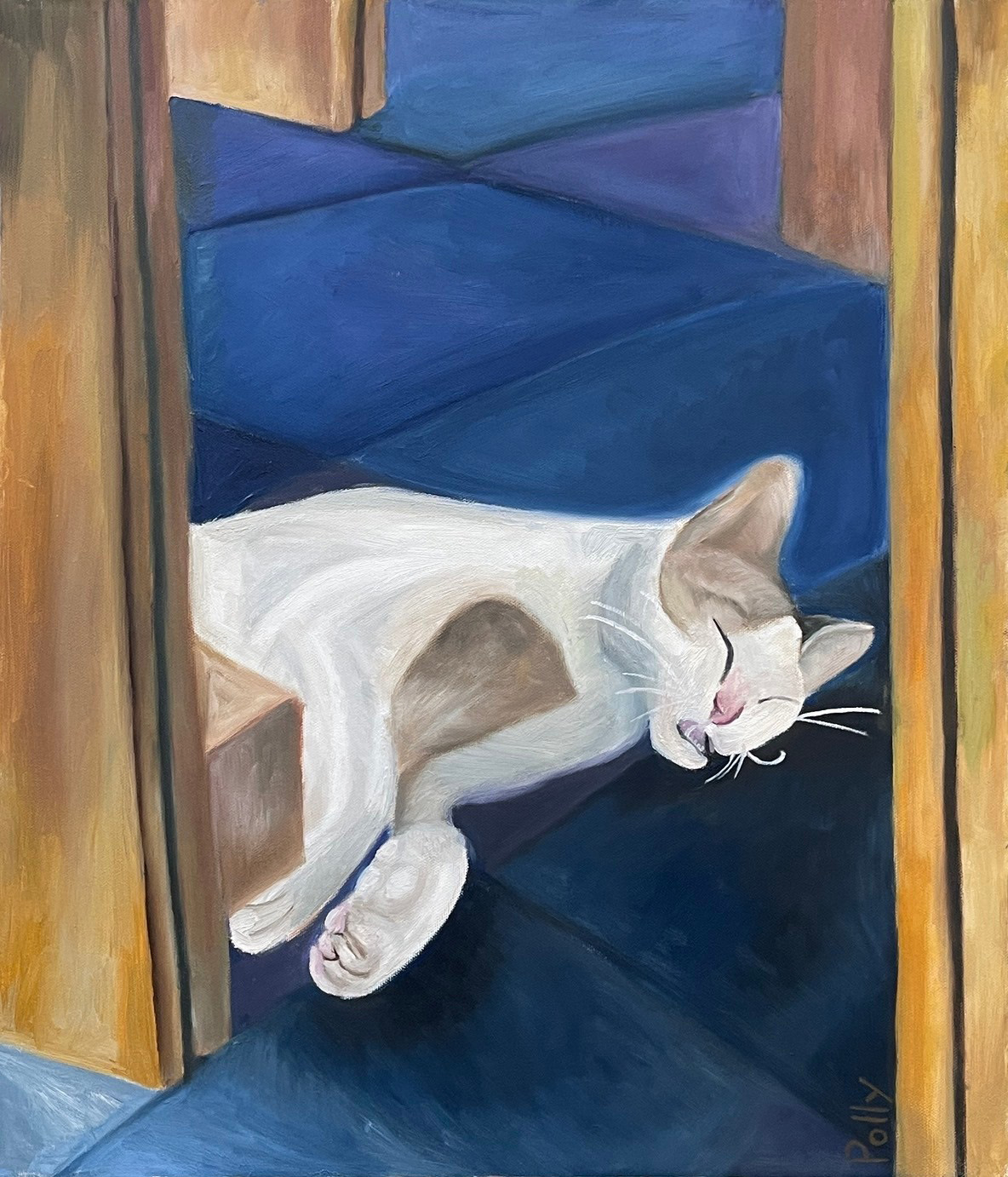 澎湖望安午睡貓